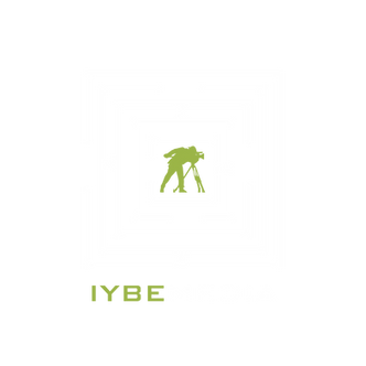 Iybe Media Logo (Lime).png